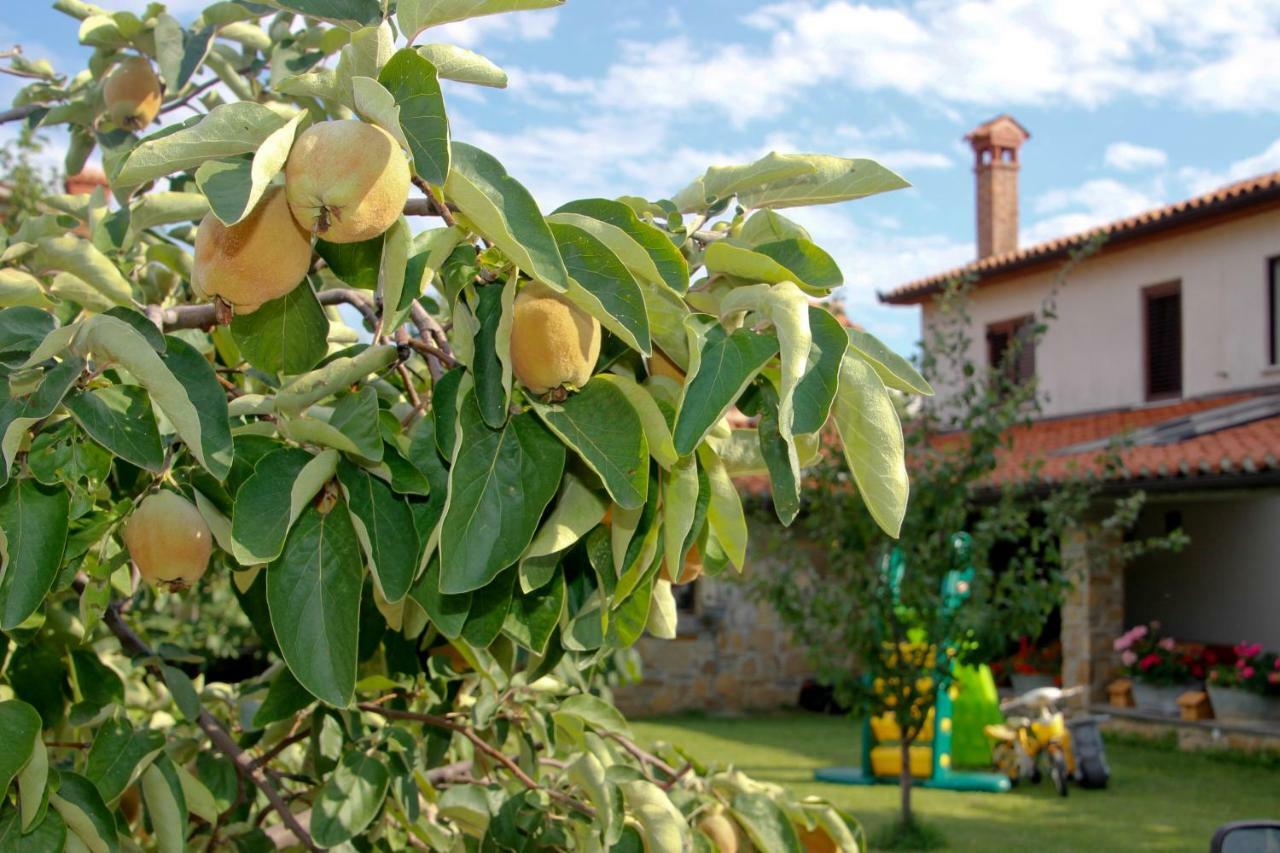 Tourist Farm With Apartments Fig Tree Dekani Εξωτερικό φωτογραφία